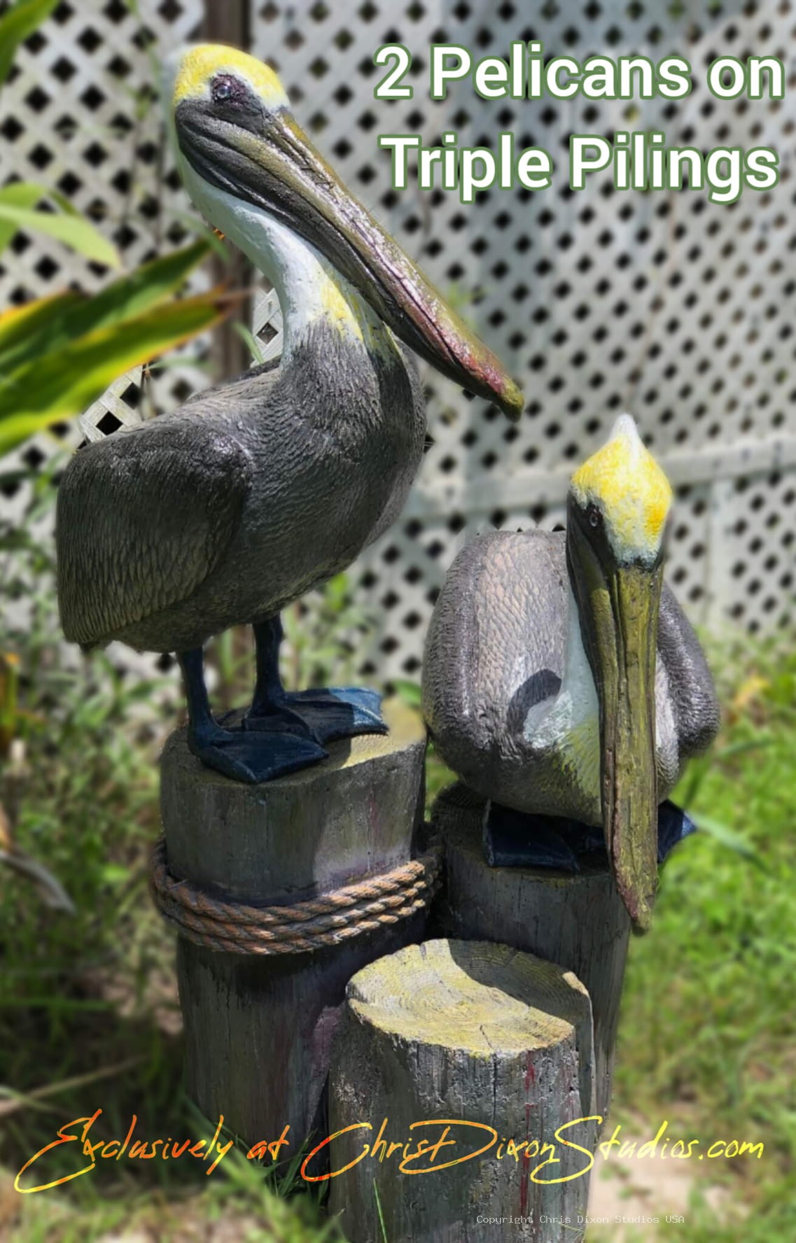 2Pelicans On Triple Pilings326