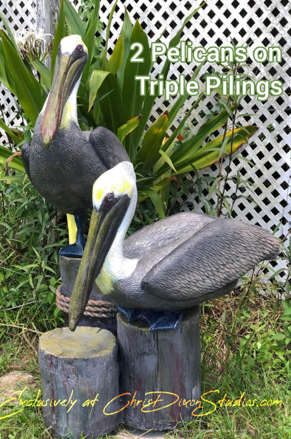 2Pelicans On Triple Pilings526