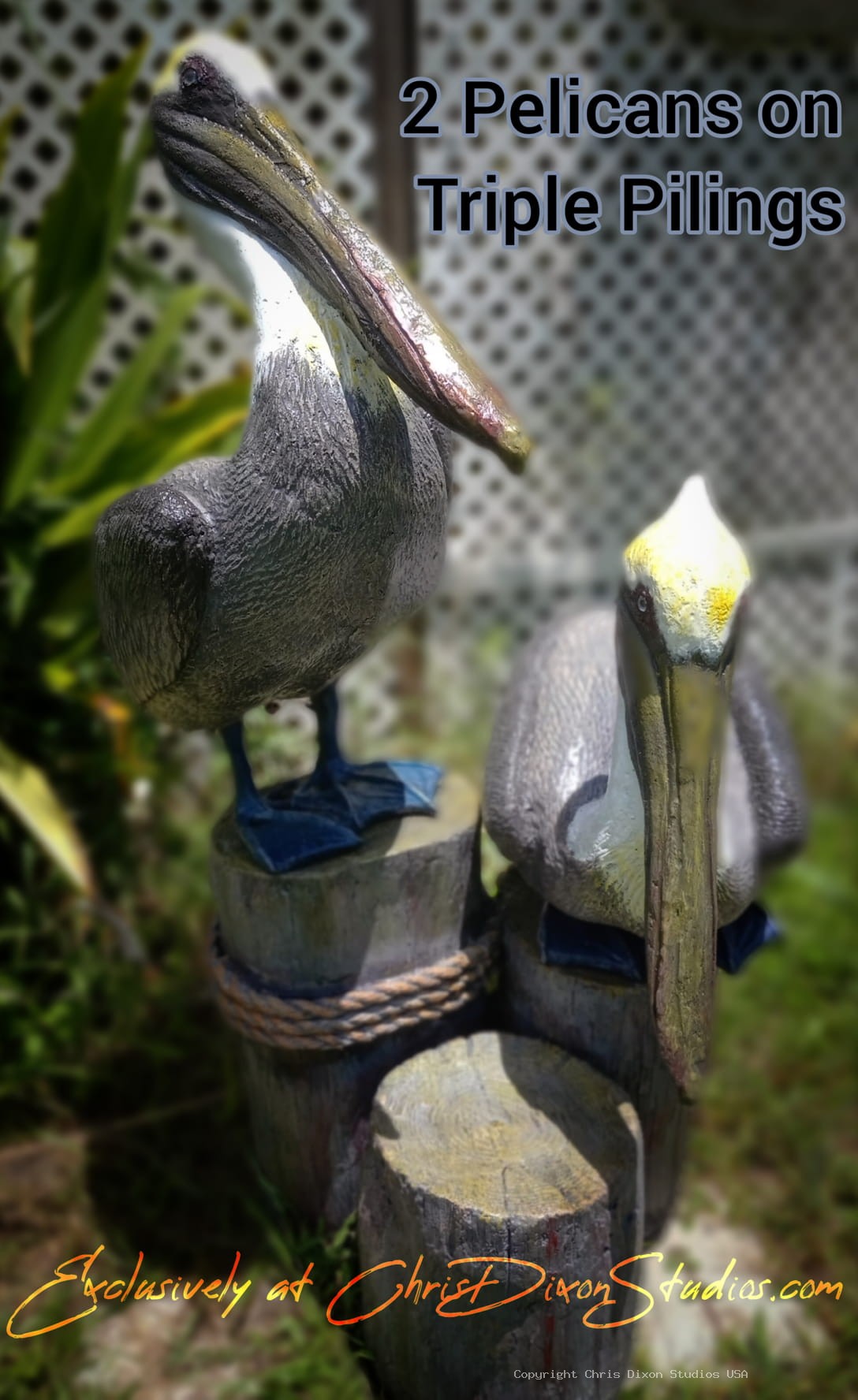 2Pelicans On Triple Pilings951