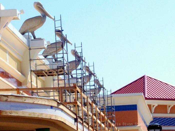 6ft Pelican Rooftop2