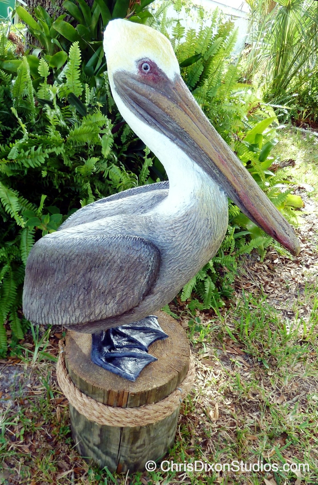 Pelican Standing Proud 112