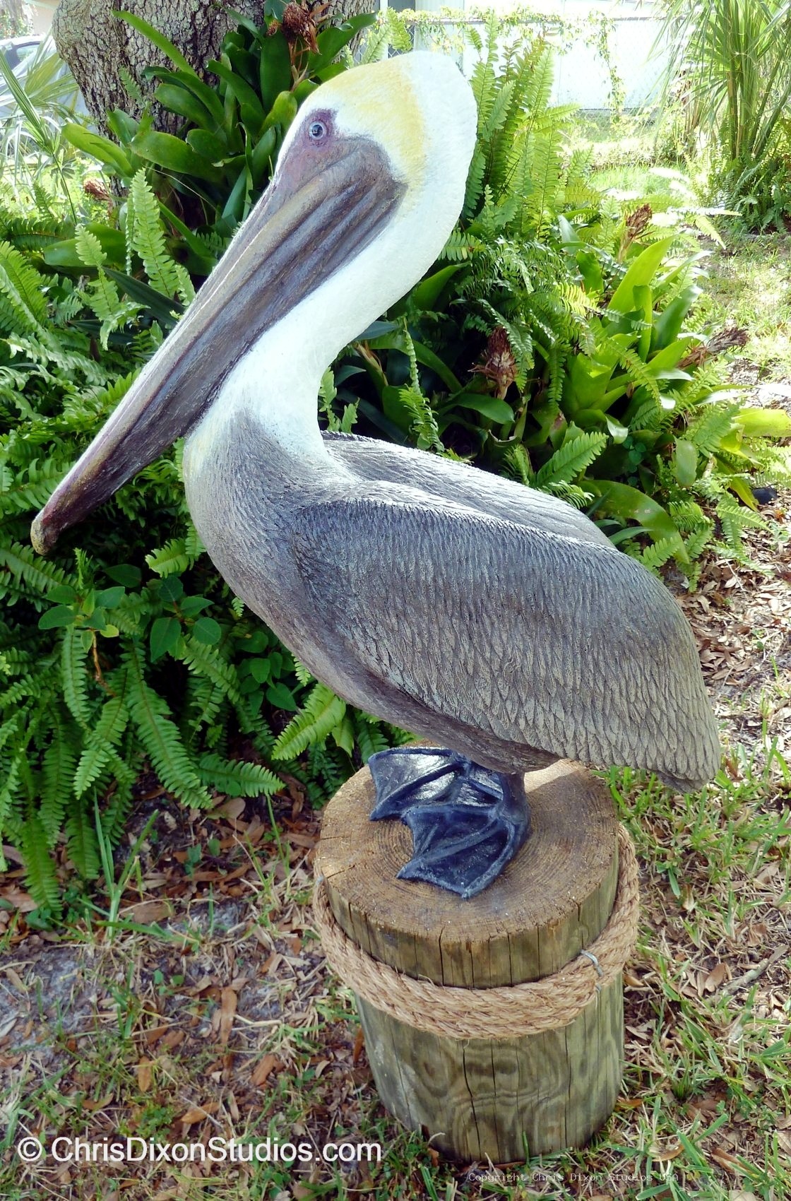 Pelican Standing Proud 114