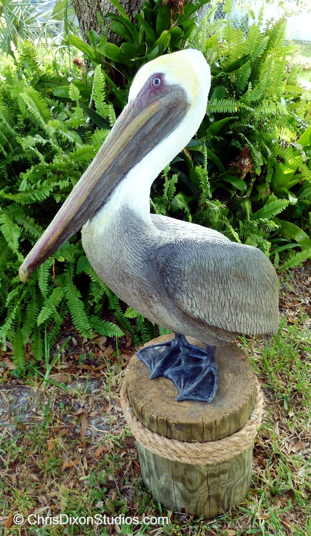 Pelican Standing Proud 115