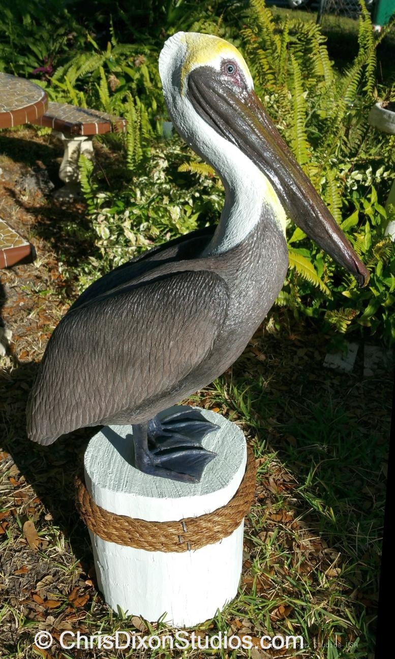 Pelican Standing Proud WhiteBase
