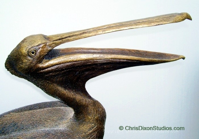 Pelicans Bronze Lifesize23
