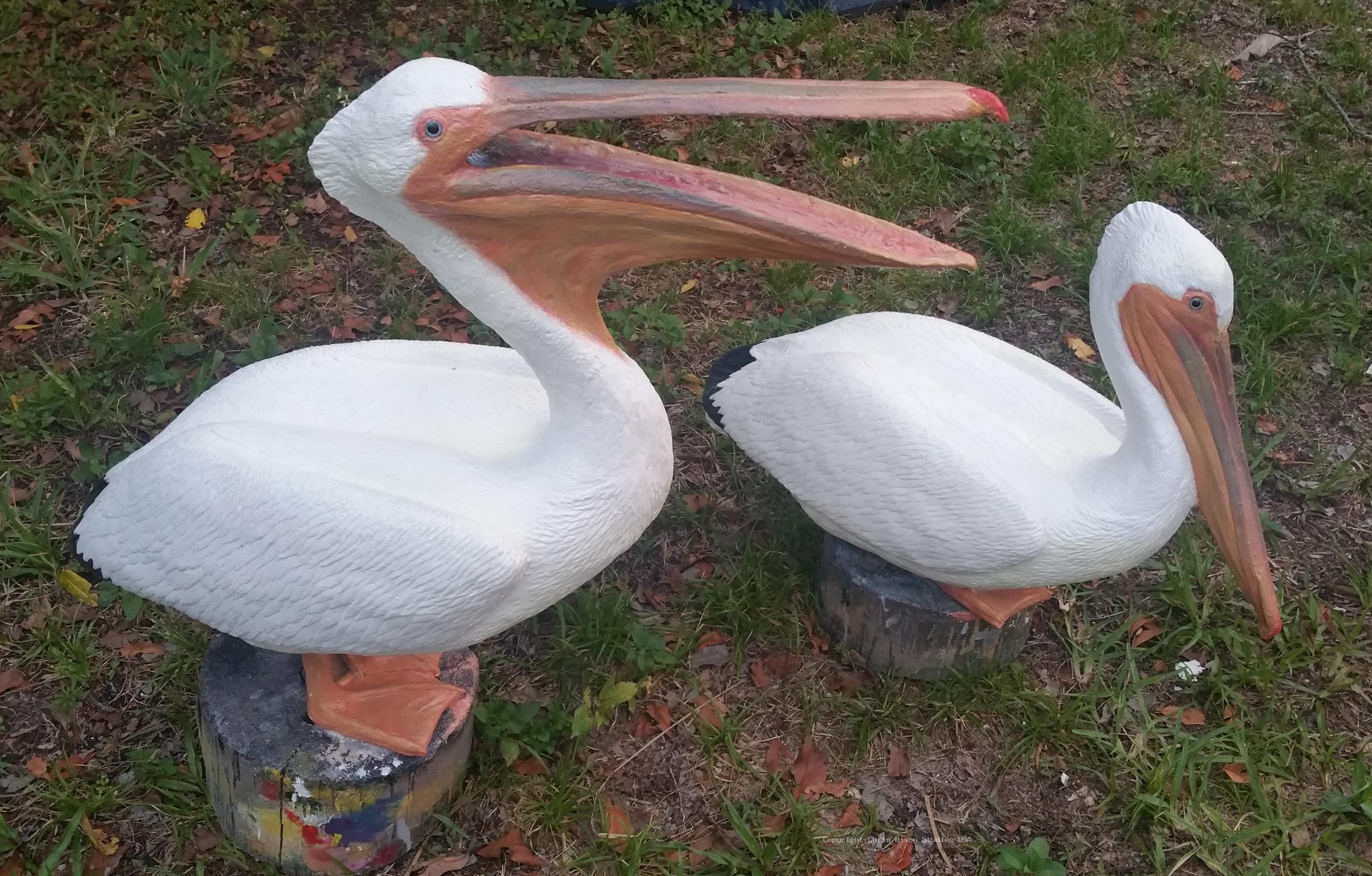 White Pelicans Custom 358