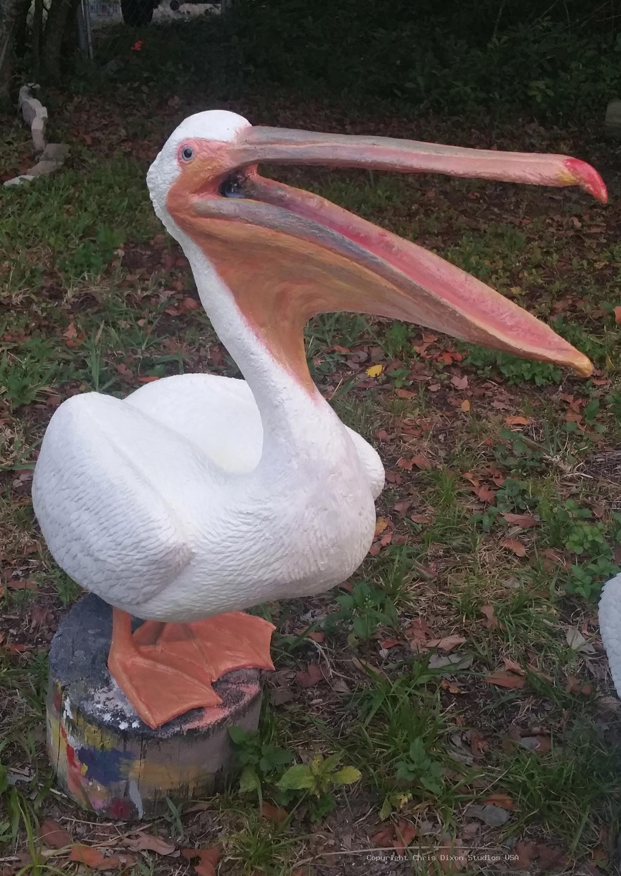 White Pelicans Custom 423