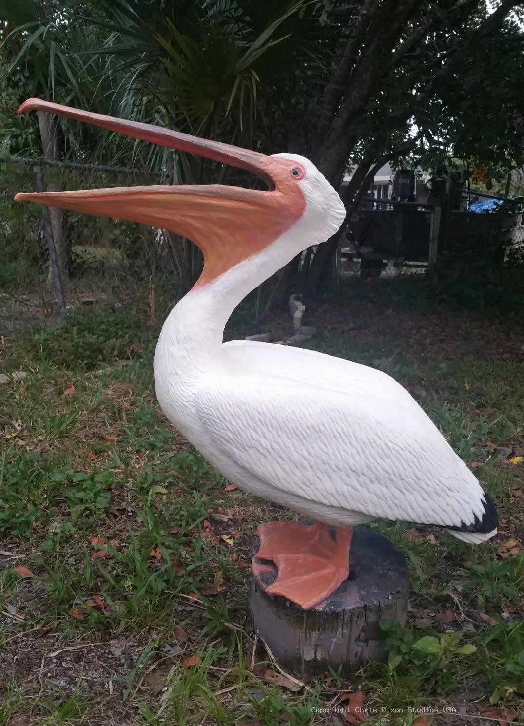 White Pelicans Custom 606