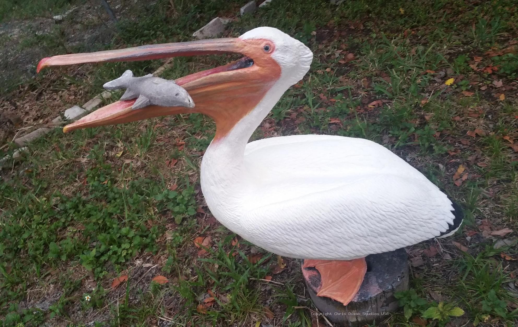 White Pelicans Custom 723