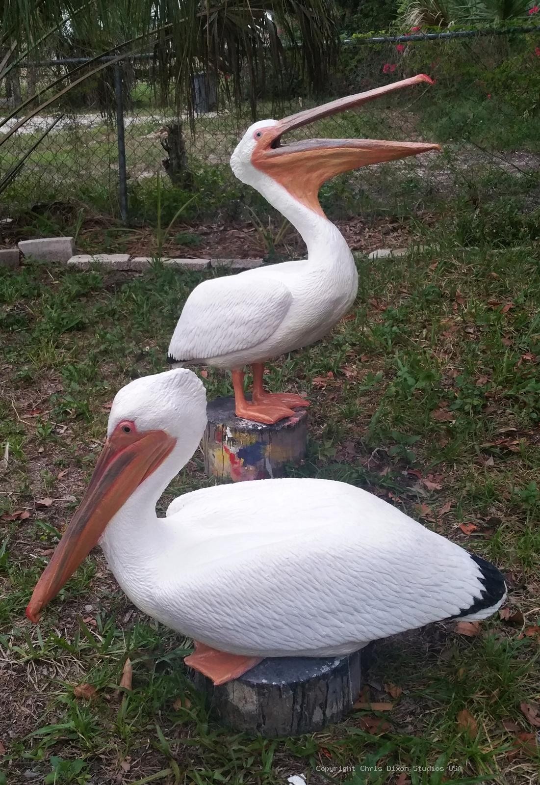 White Pelicans Custom 917