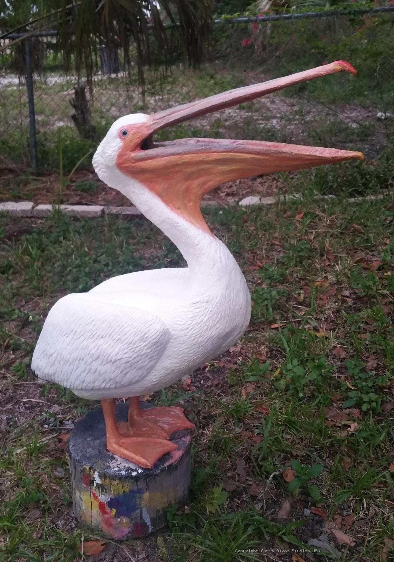 White Pelicans Custom 934