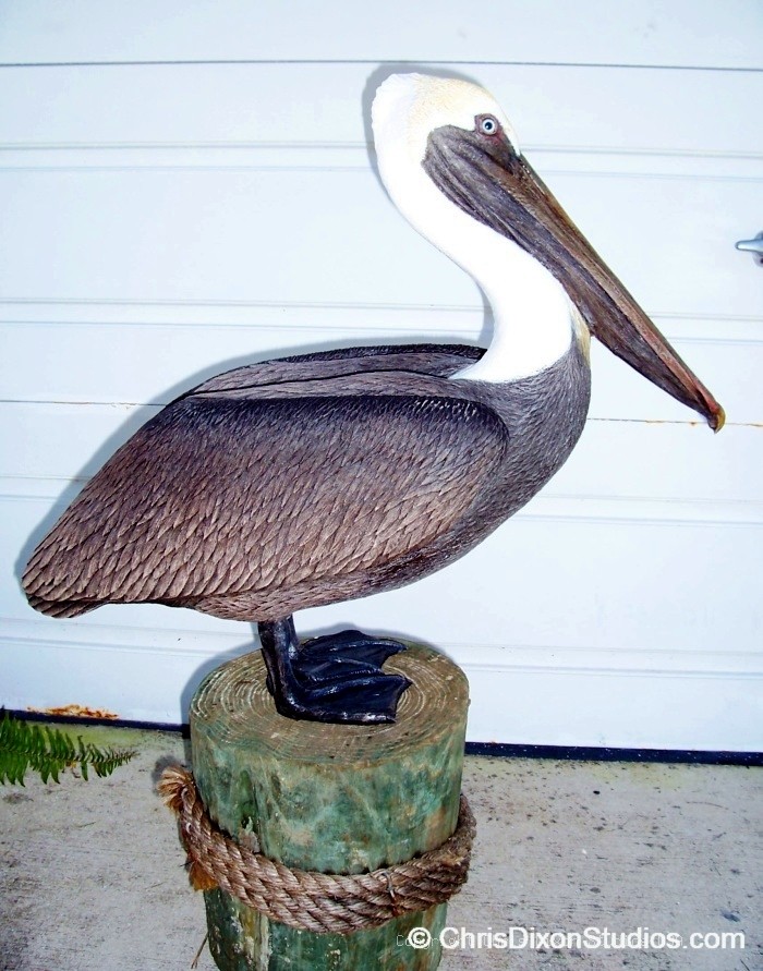 Pelican Lifesize PROFILE