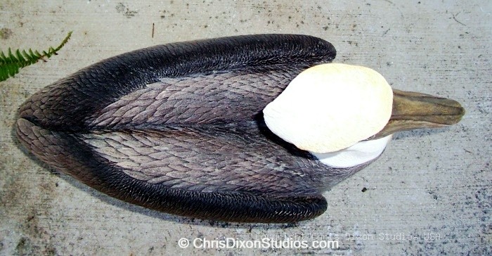 Pelican Lifesize TOP