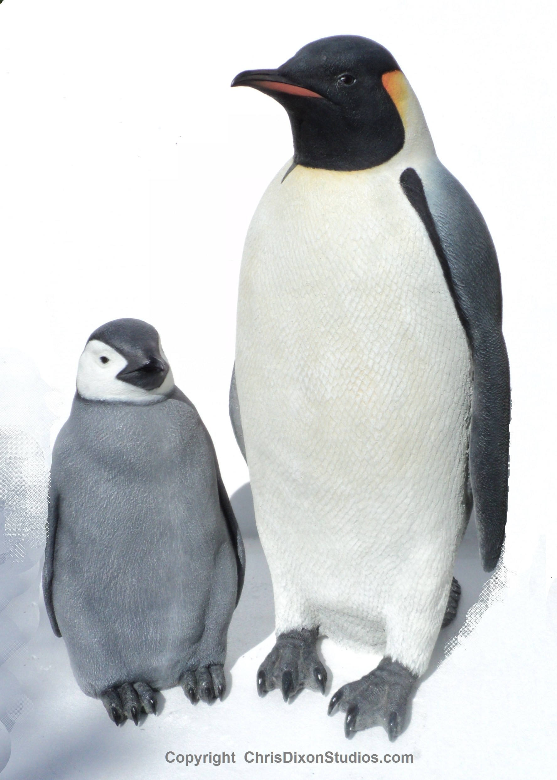Emperor Penguins 14