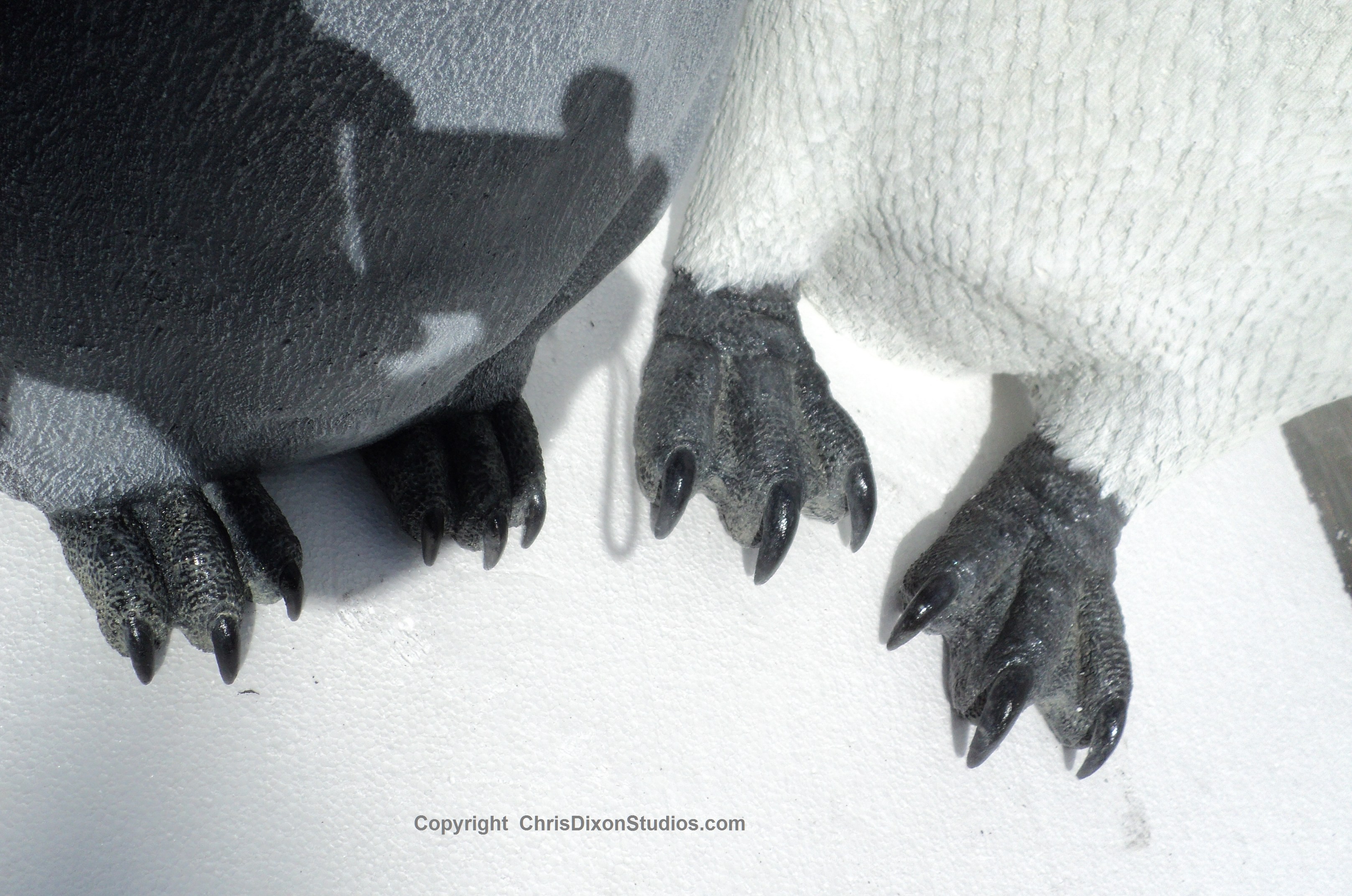 Emperor Penguins 16