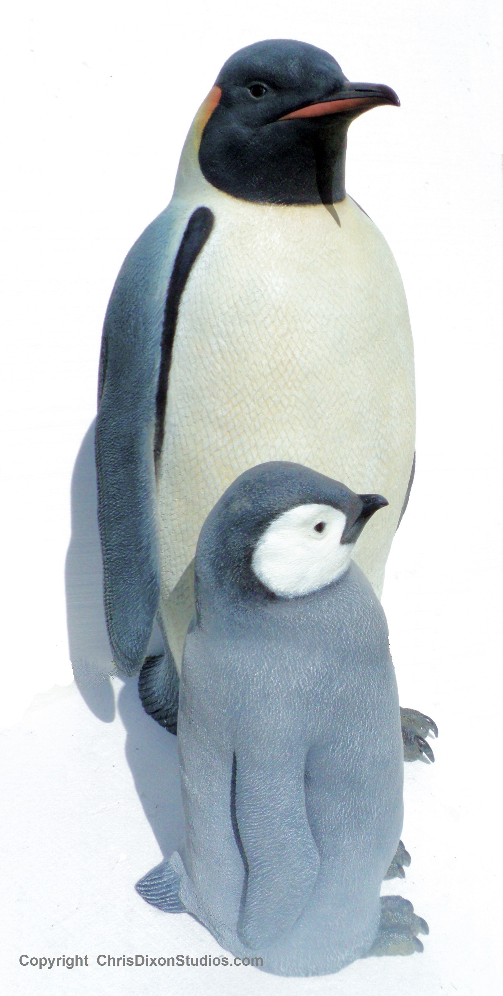 Emperor Penguins 24