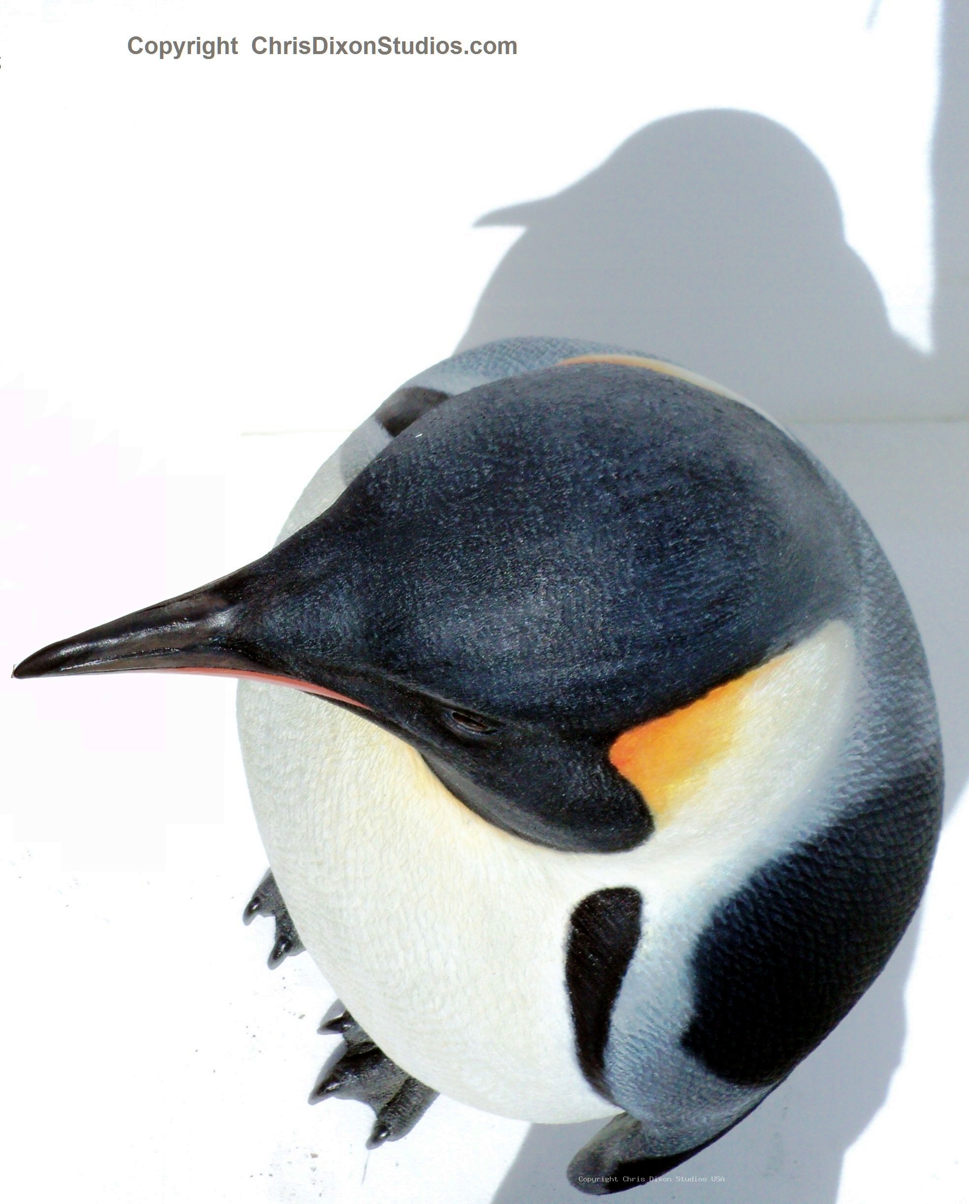 Emperor Penguins 34