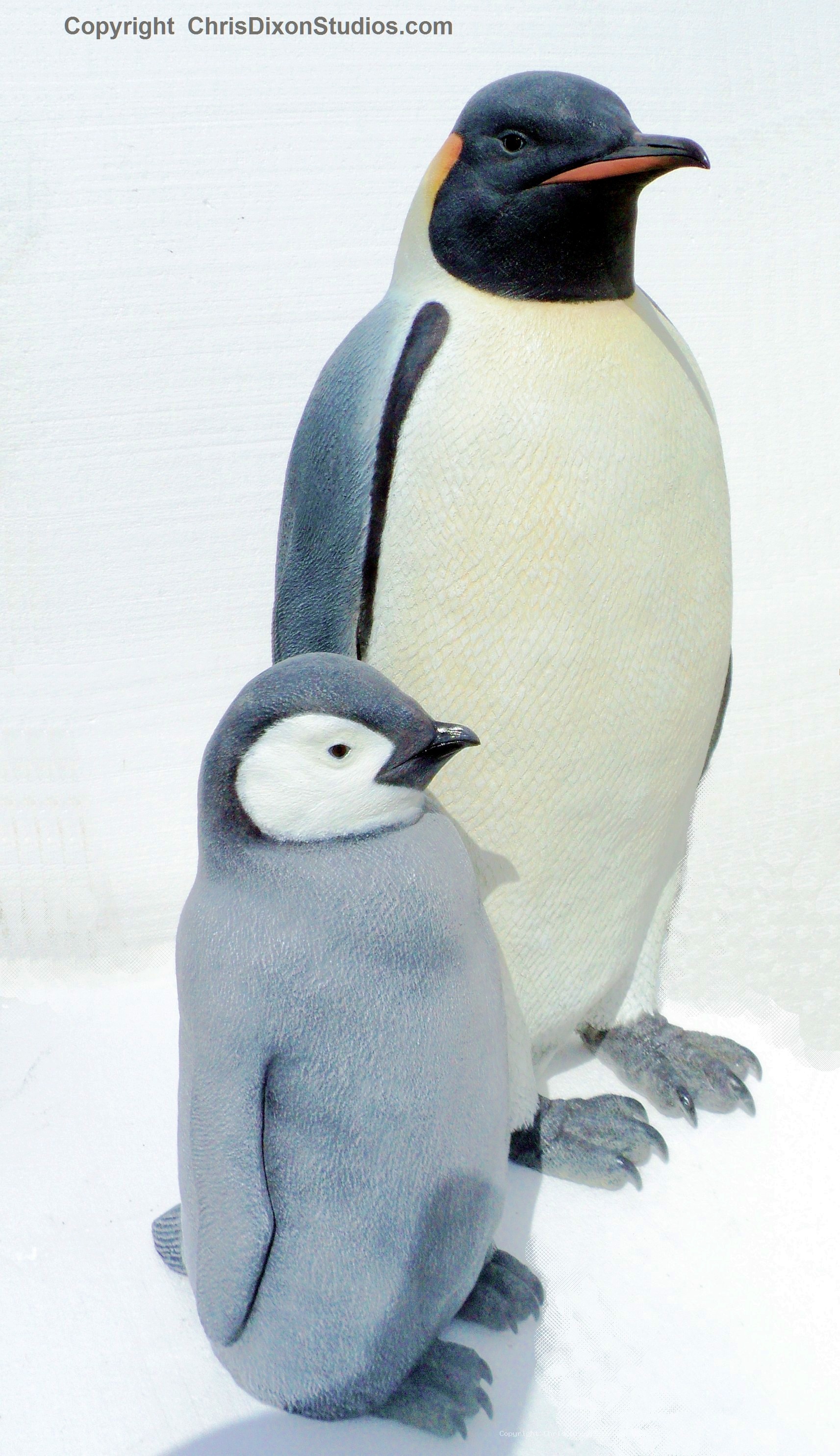 Emperor Penguins 37
