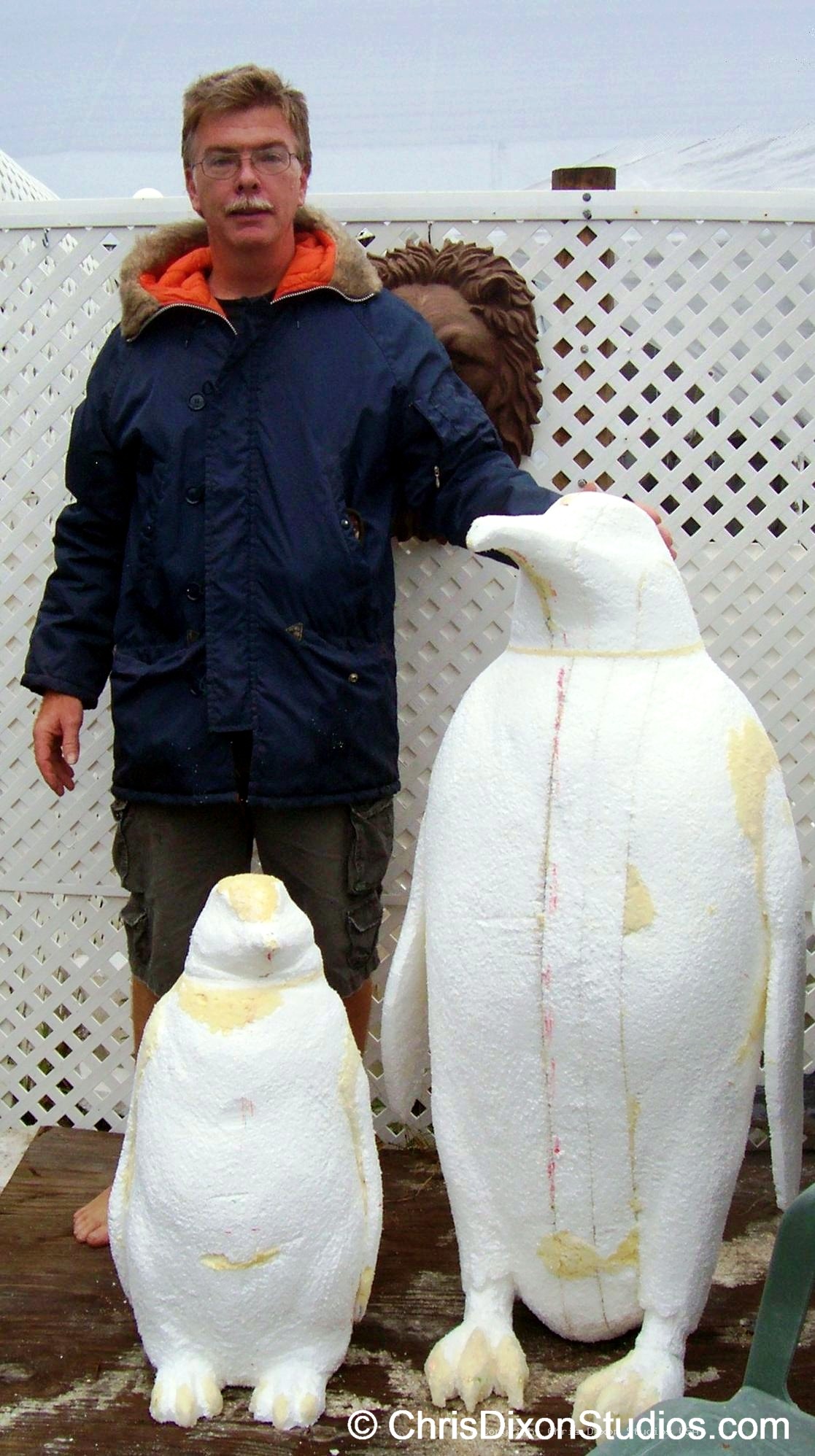Emperor Penguins Mannikin00