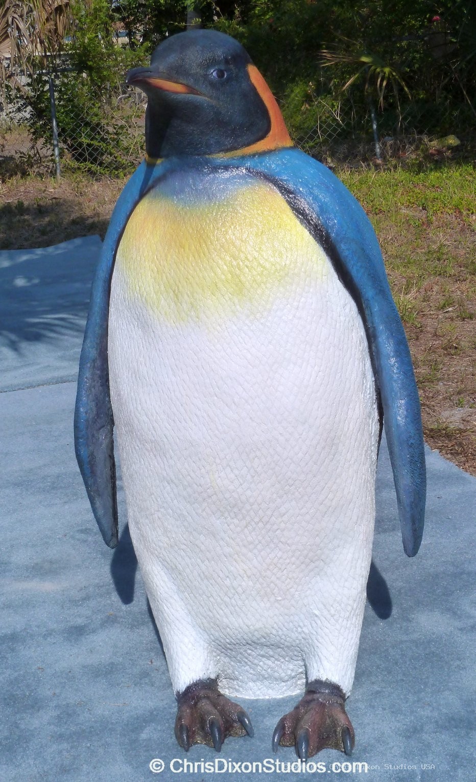 Penguin Vivid 583