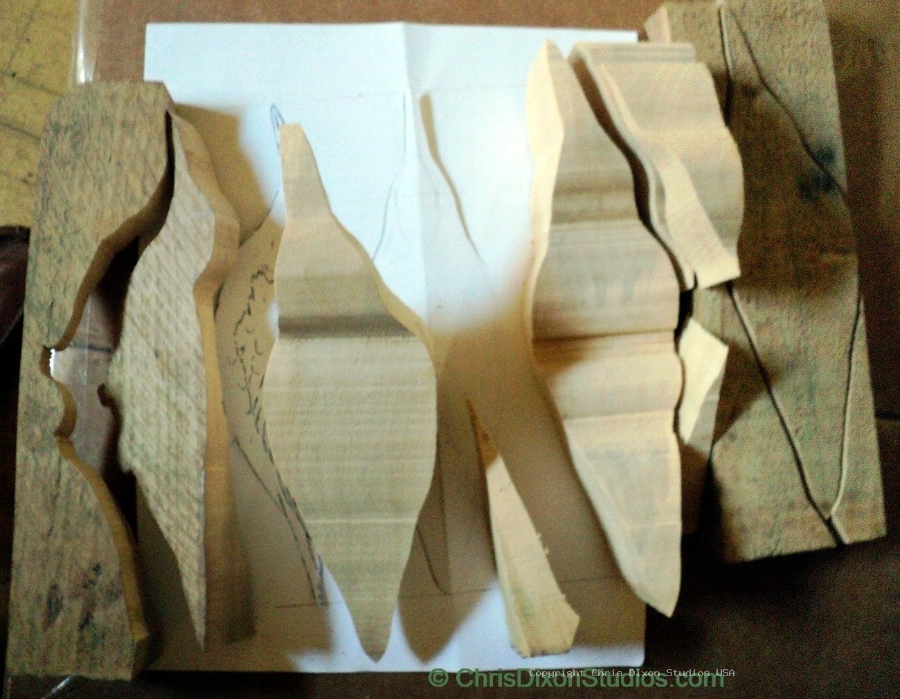 Spotted Sandpiper 50