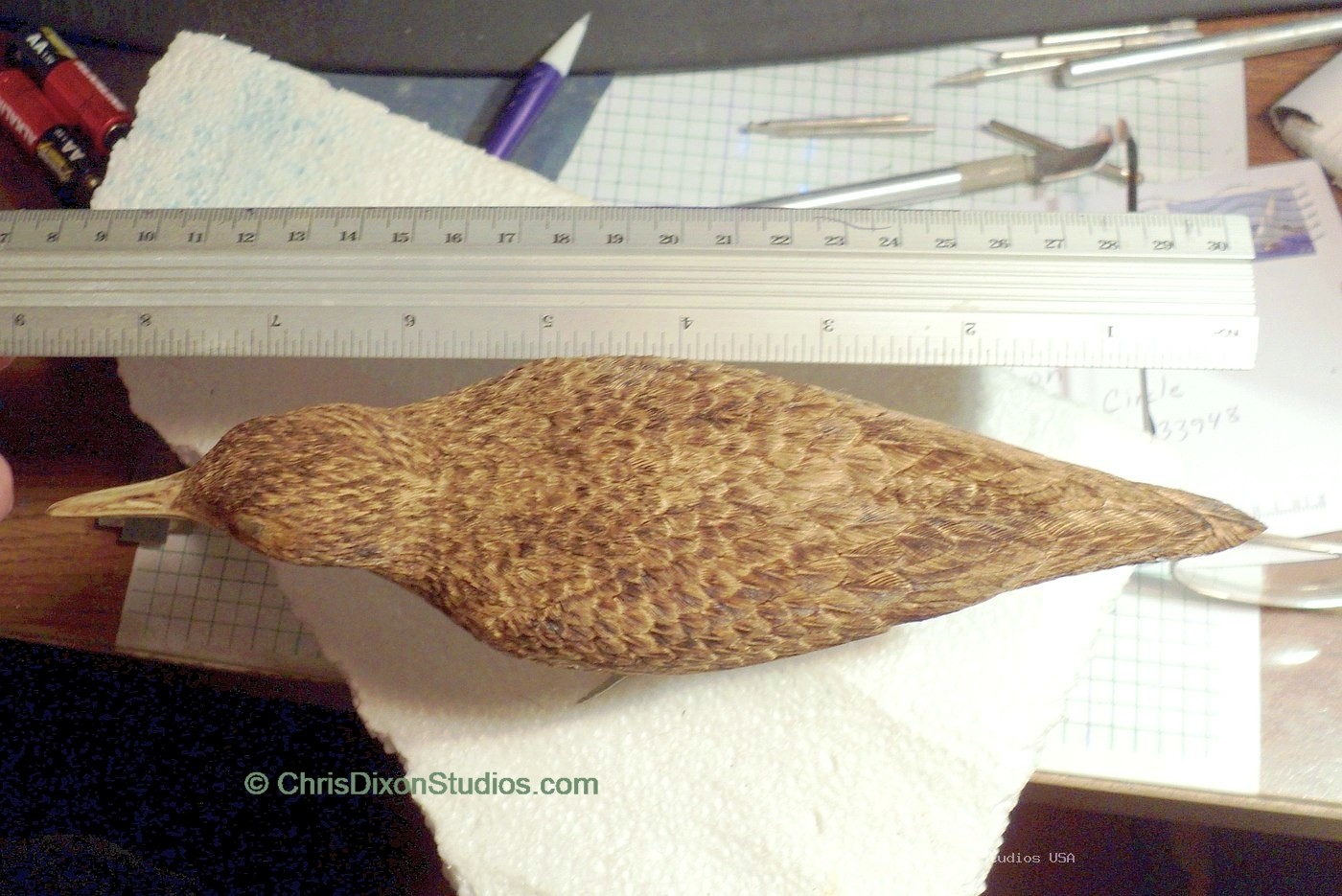 Spotted Sandpiper 83