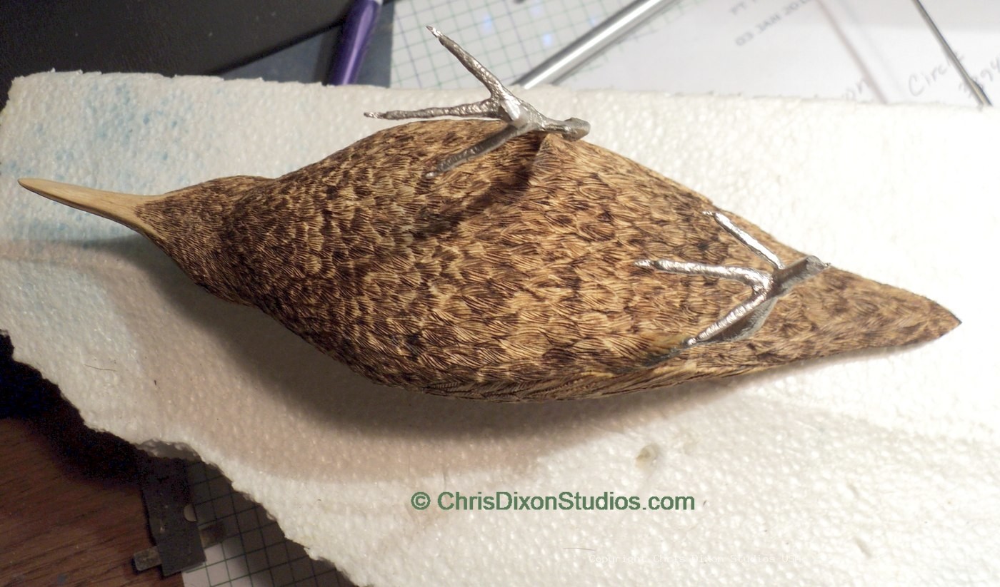 Spotted Sandpiper 86