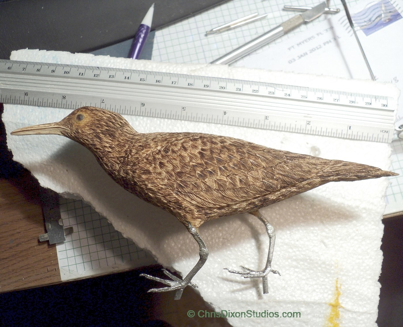 Spotted Sandpiper 88