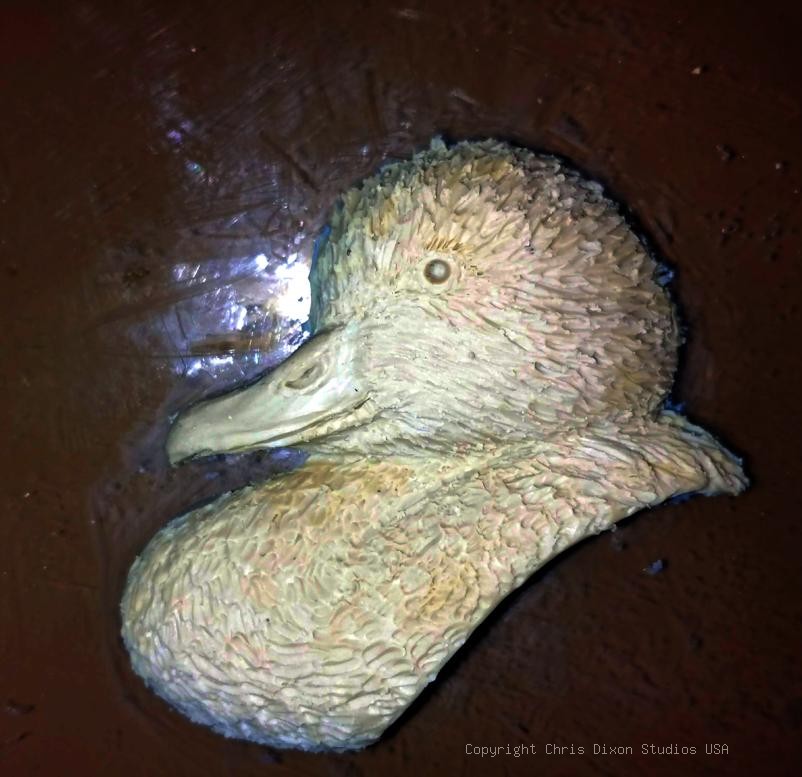 Cameo Gadwall CLAY513