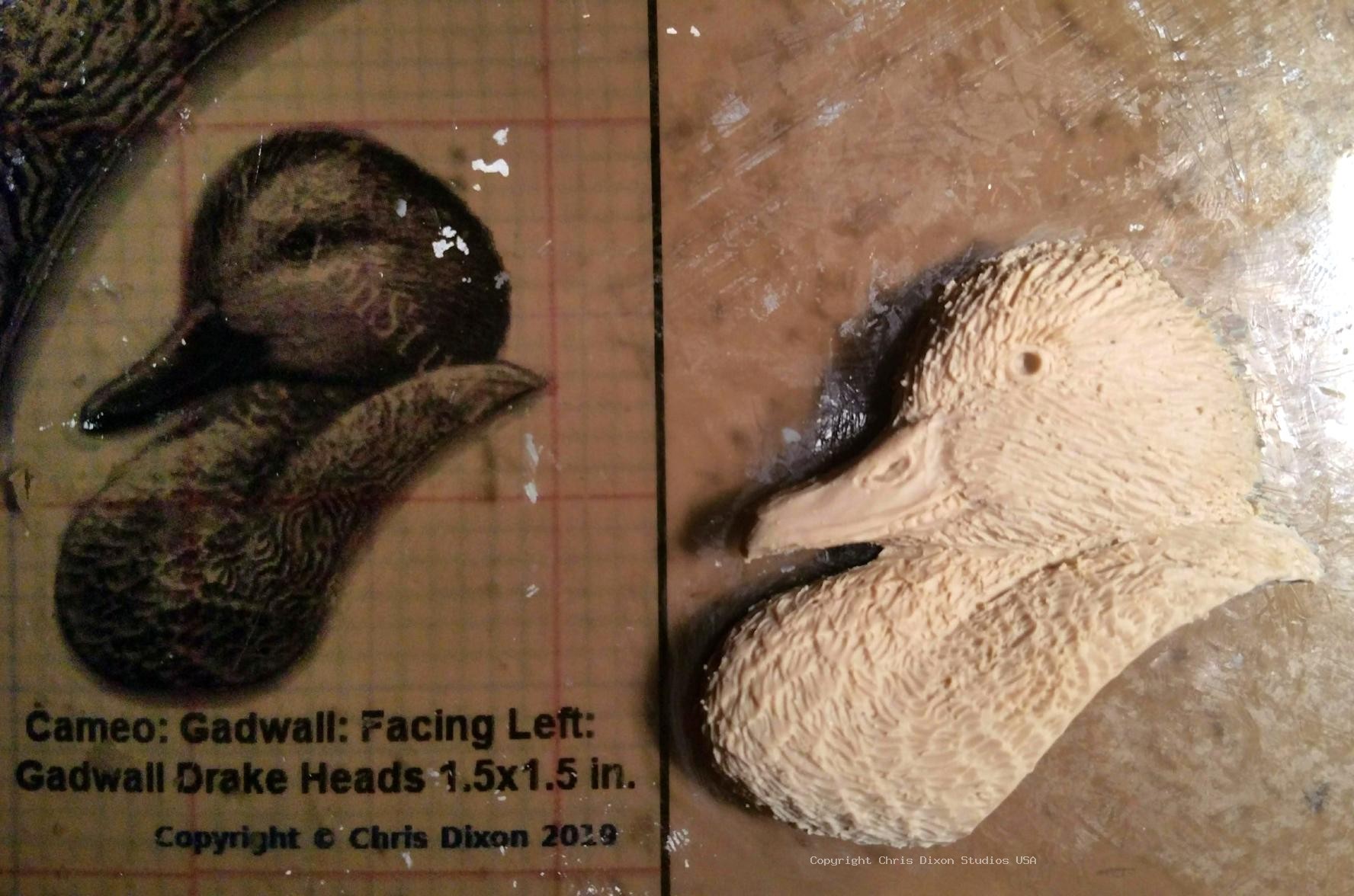 Cameo Gadwall CLAY821