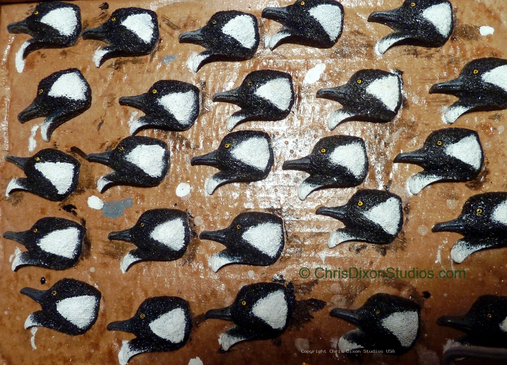 CAMEO Hooded Merganser 893