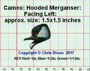 CAMEO Hooded Merganser GRID