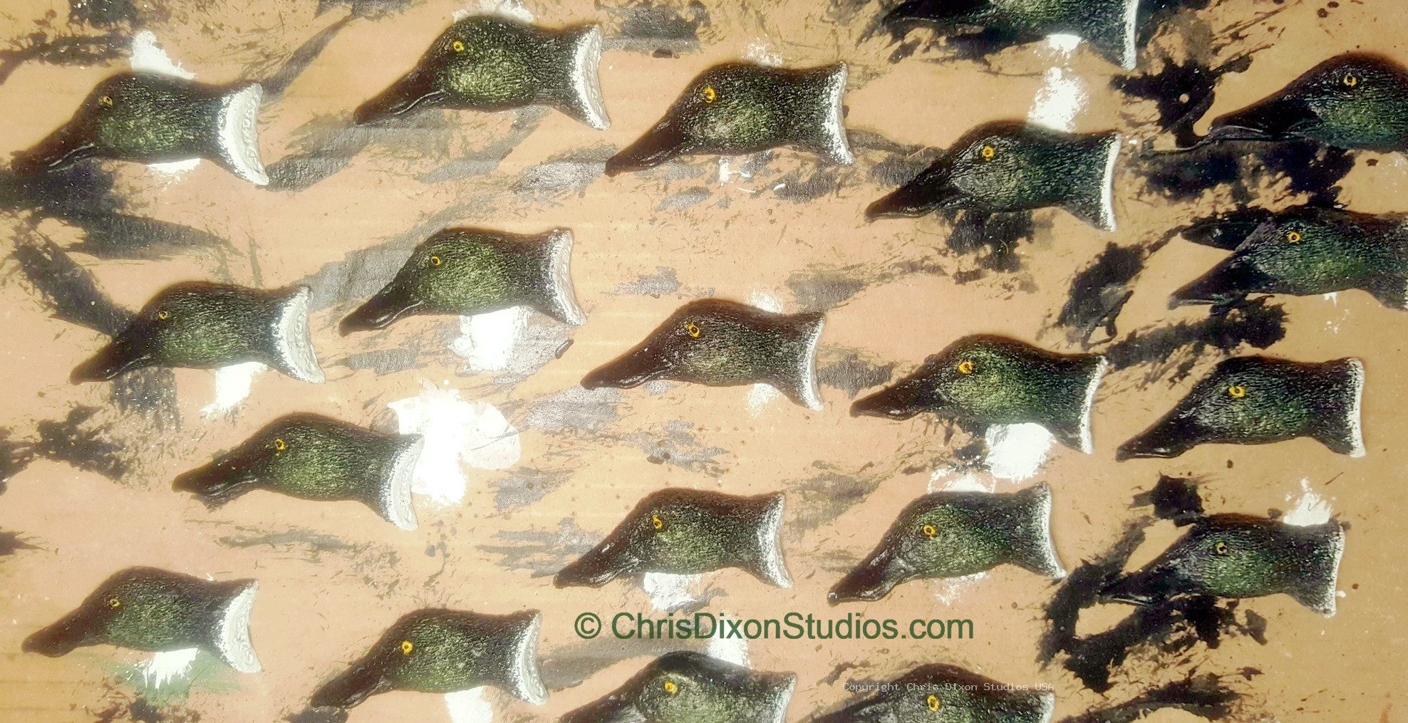 Cameo Northern Shoveler 047