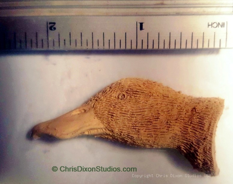 Cameo Northern Shoveler 920