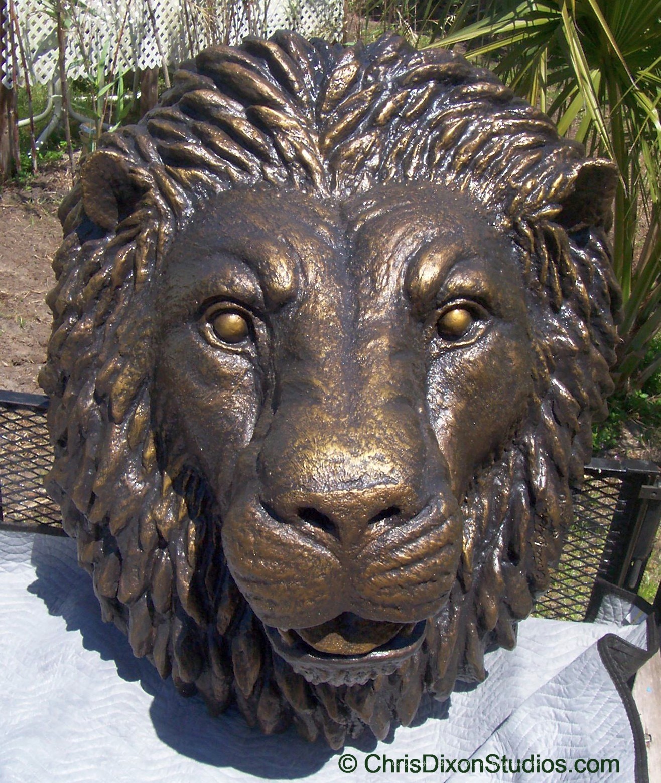 LionHead TuscanBronze3x4ft
