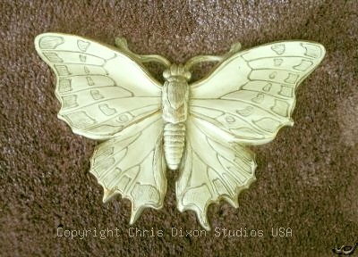 Butterfly 12x8