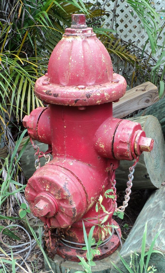 Fire Hydrant Tn 30