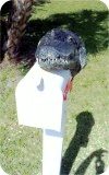 View Alligator8ft-MAILBOX-Head-97