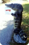 View Alligator8ft-MAILBOX-PARCEL-75