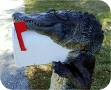 View Alligator8ft-MAILBOX-PARCEL-78