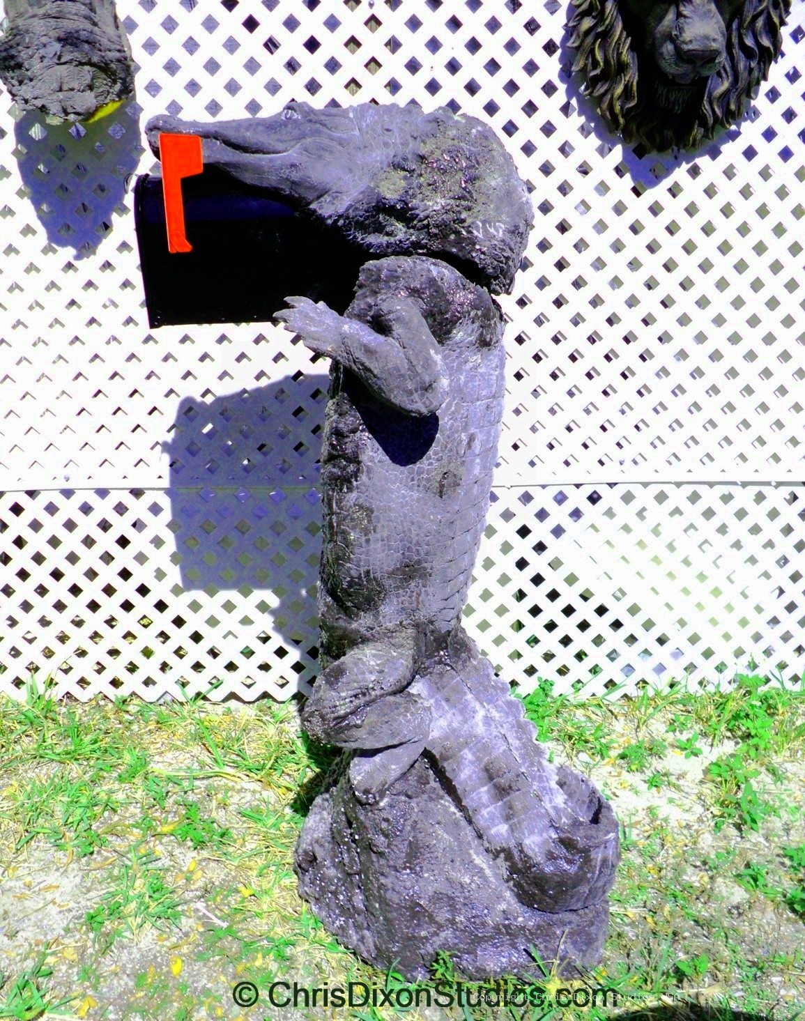 Alligator8ft MAILBOX NoPaint 17