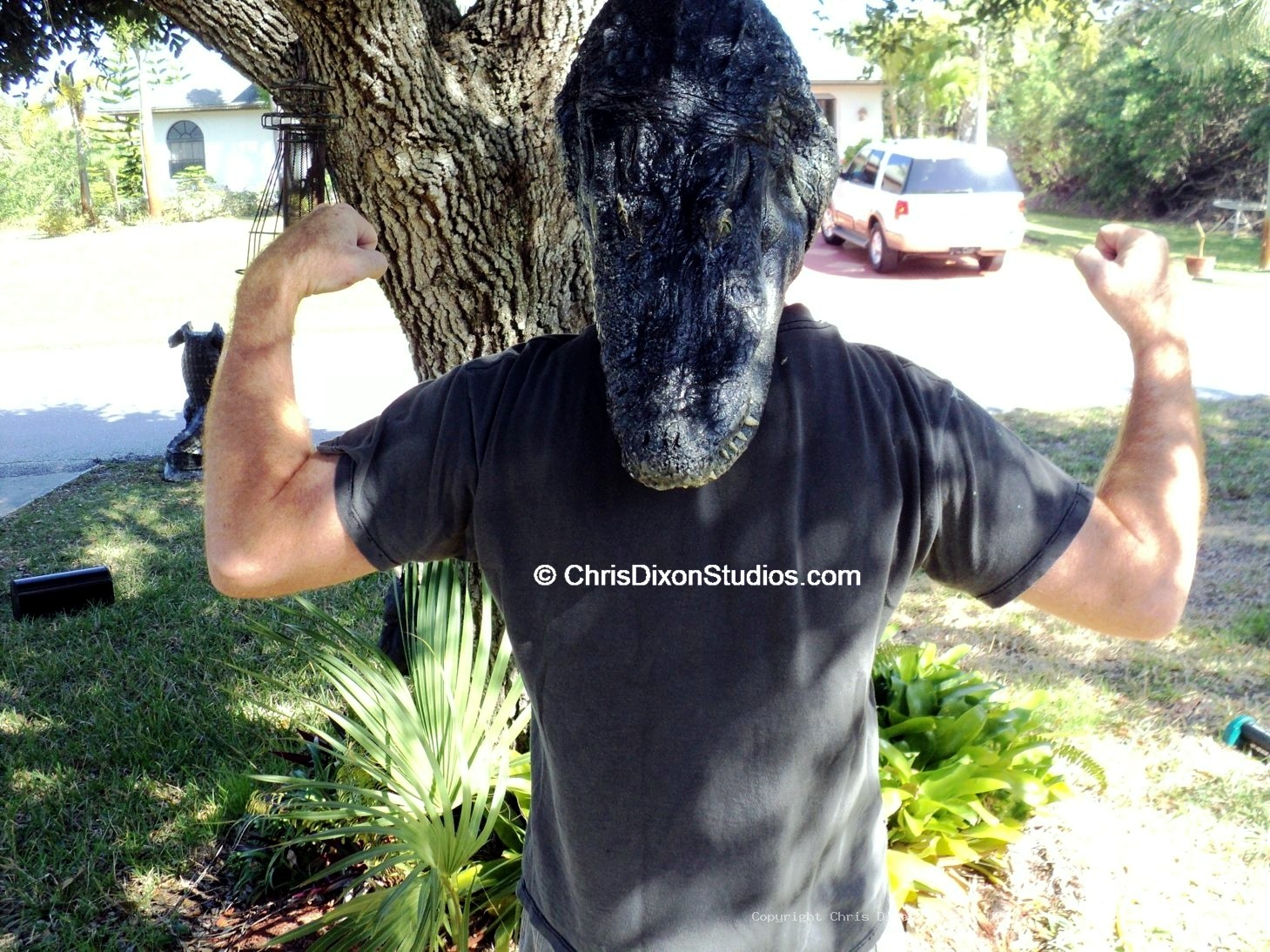 Alligator8ft MAILBOX PARCEL 86