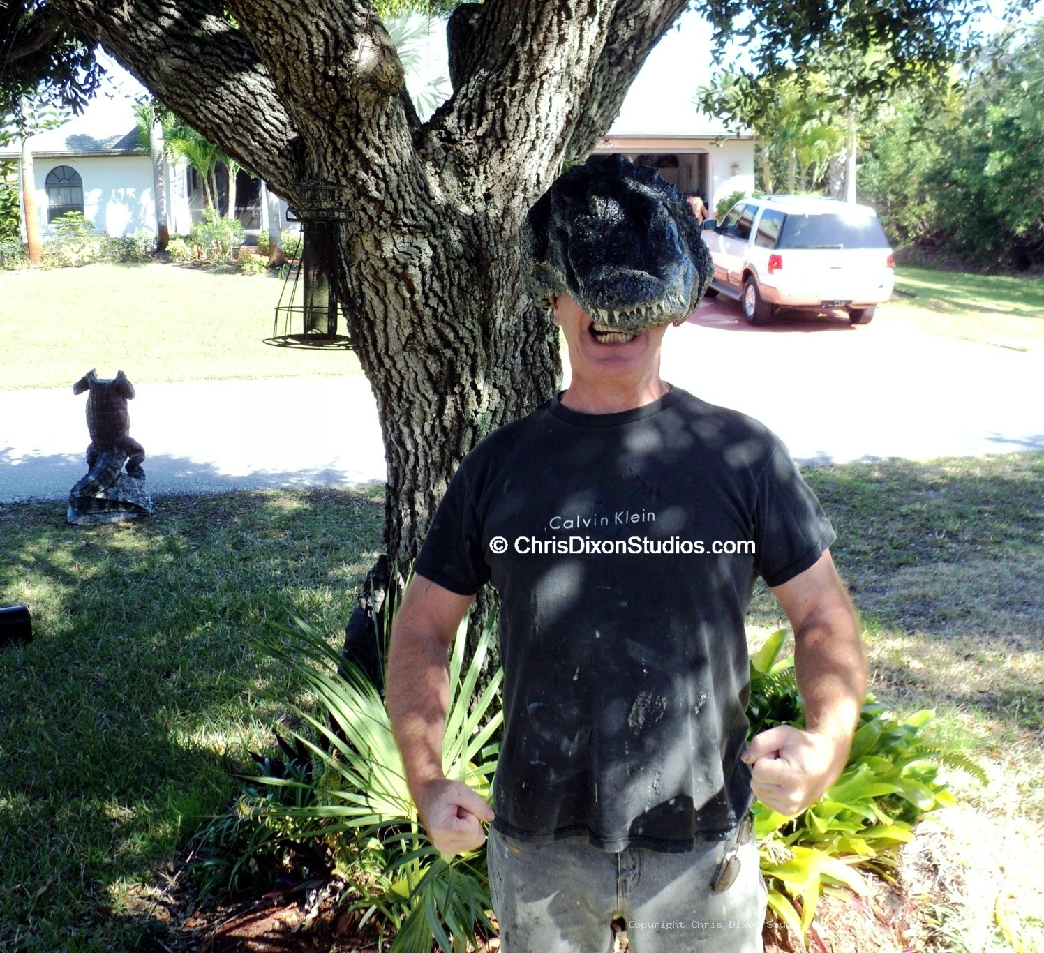 Alligator8ft MAILBOX PARCEL 90