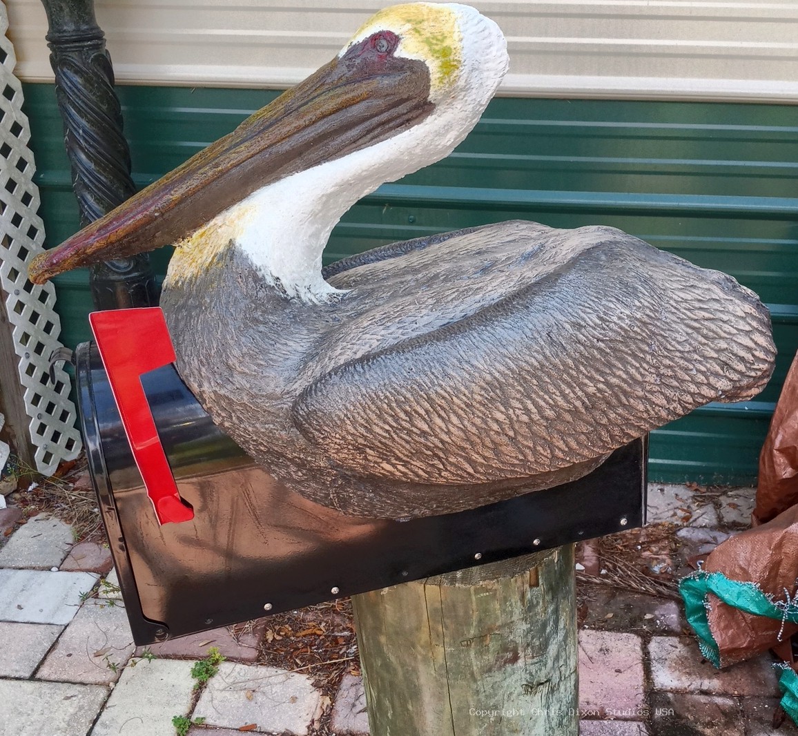 Brown Pelican LgBlack Mailbox401
