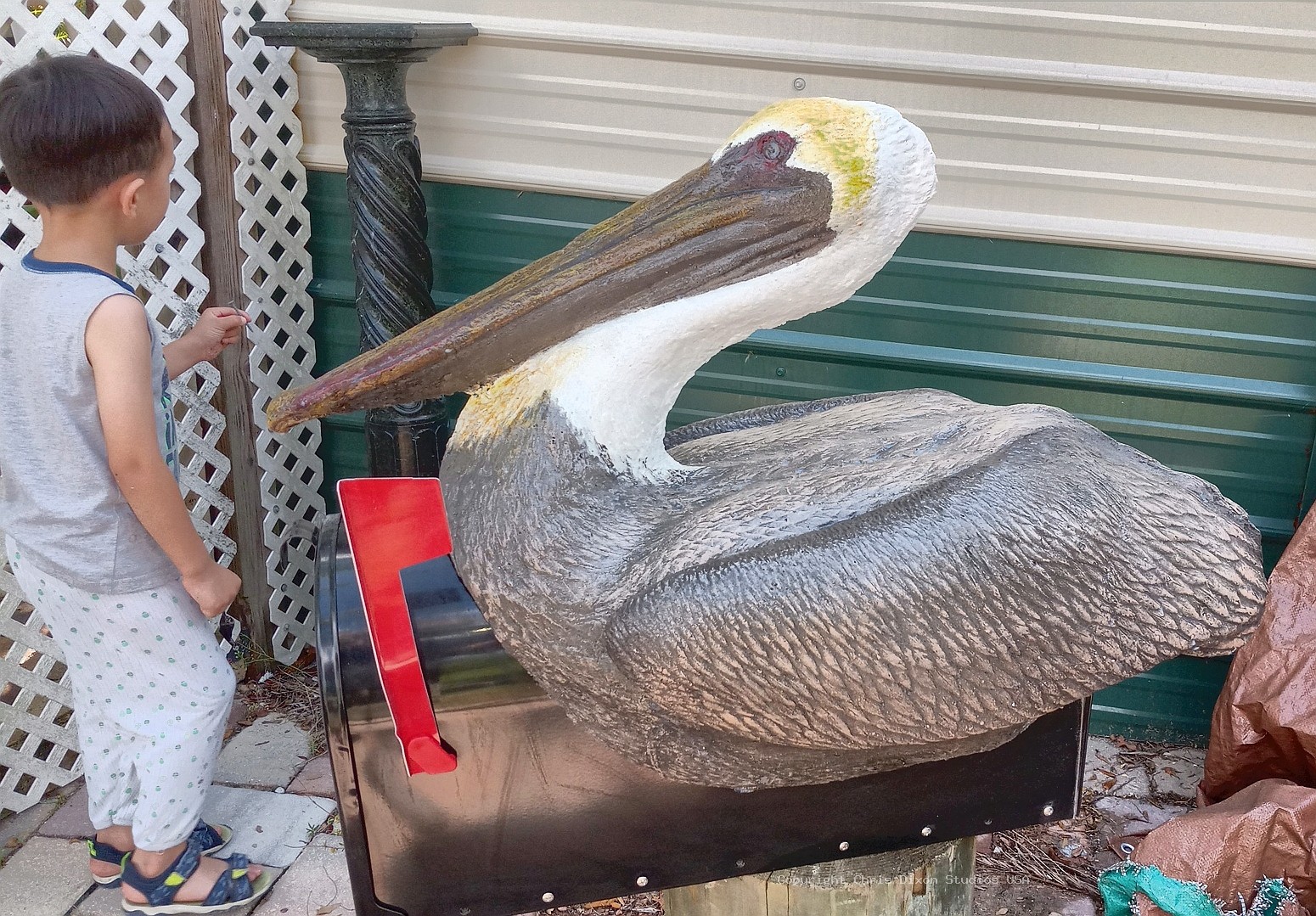 Brown Pelican LgBlack Mailbox426