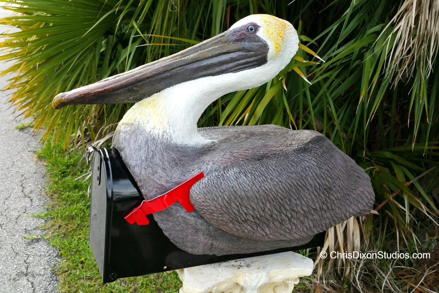 Pelican On Mailbox 611