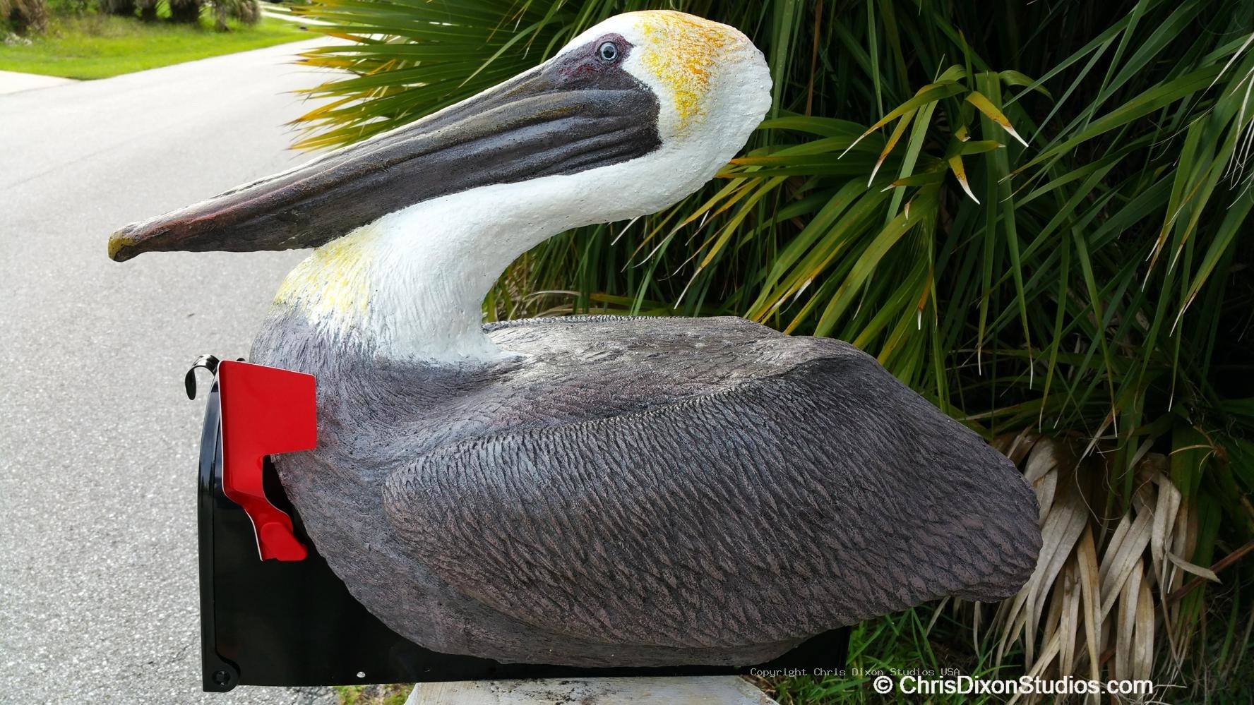 Pelican On Mailbox 85