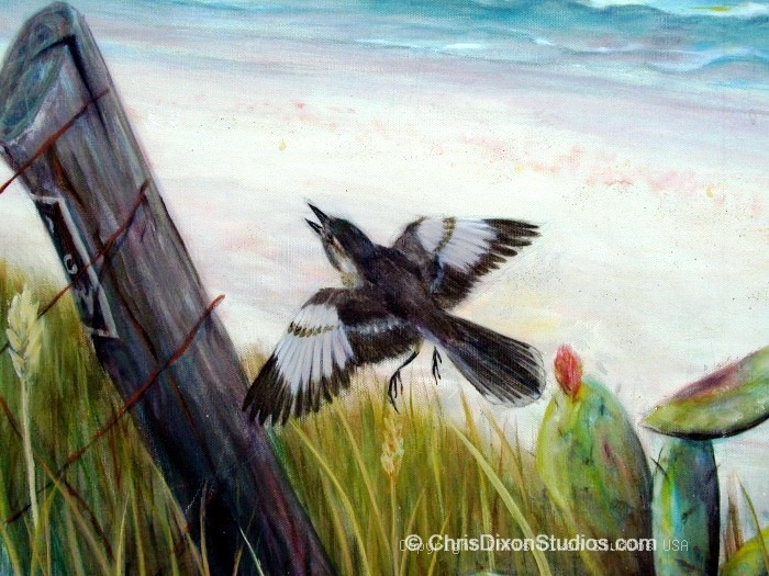 Pelican Beach Mockingbird Detail