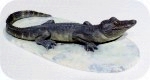 View Alligator-Sculpture-Tabletop 7x16-178