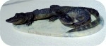 View Alligator-Sculpture-Tabletop 7x16-181